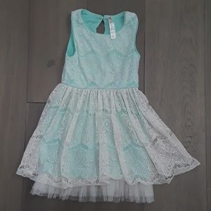 Cherokee Girls Dress with tutu under layer